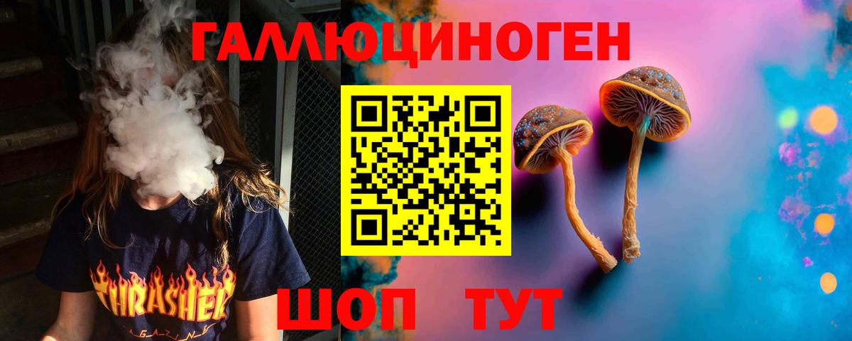 Псилоцибиновые грибы Psilocybine cubensis  Вход с VPN  Котовск 