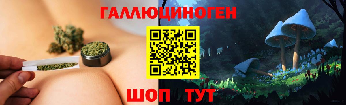 Псилоцибиновые грибы Psilocybine cubensis Котовск